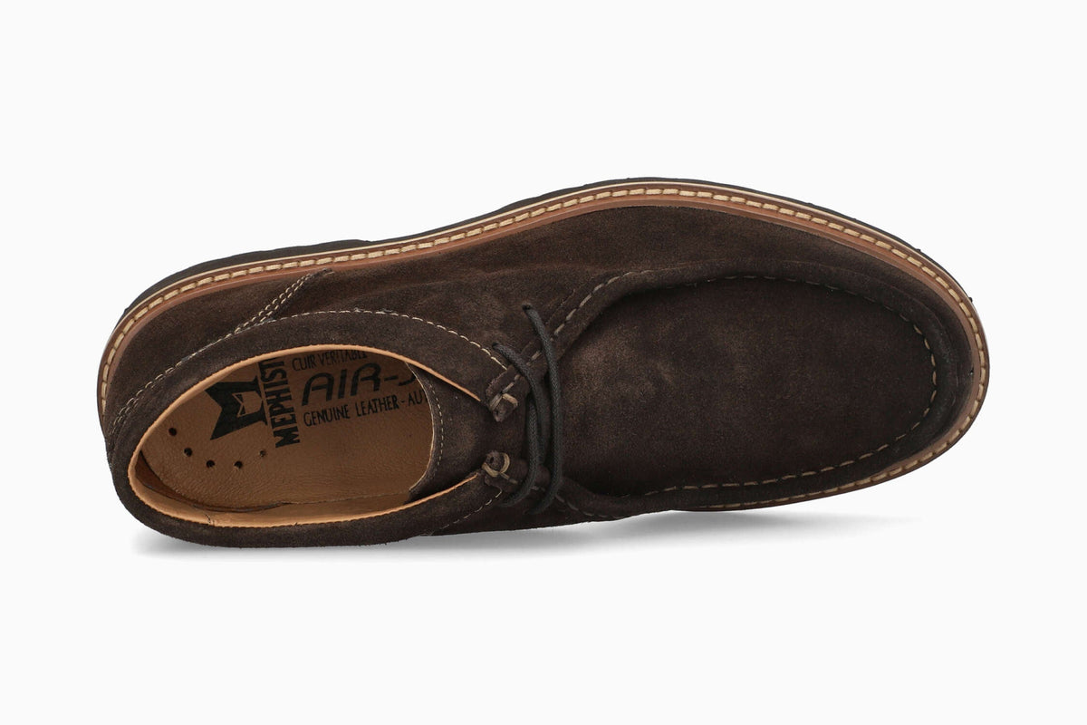 Alexander - Dark Brown