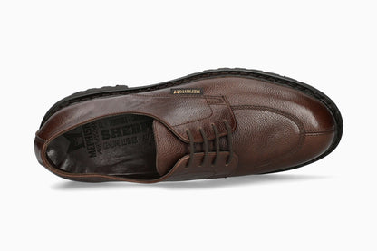 Pegasio - Chestnut