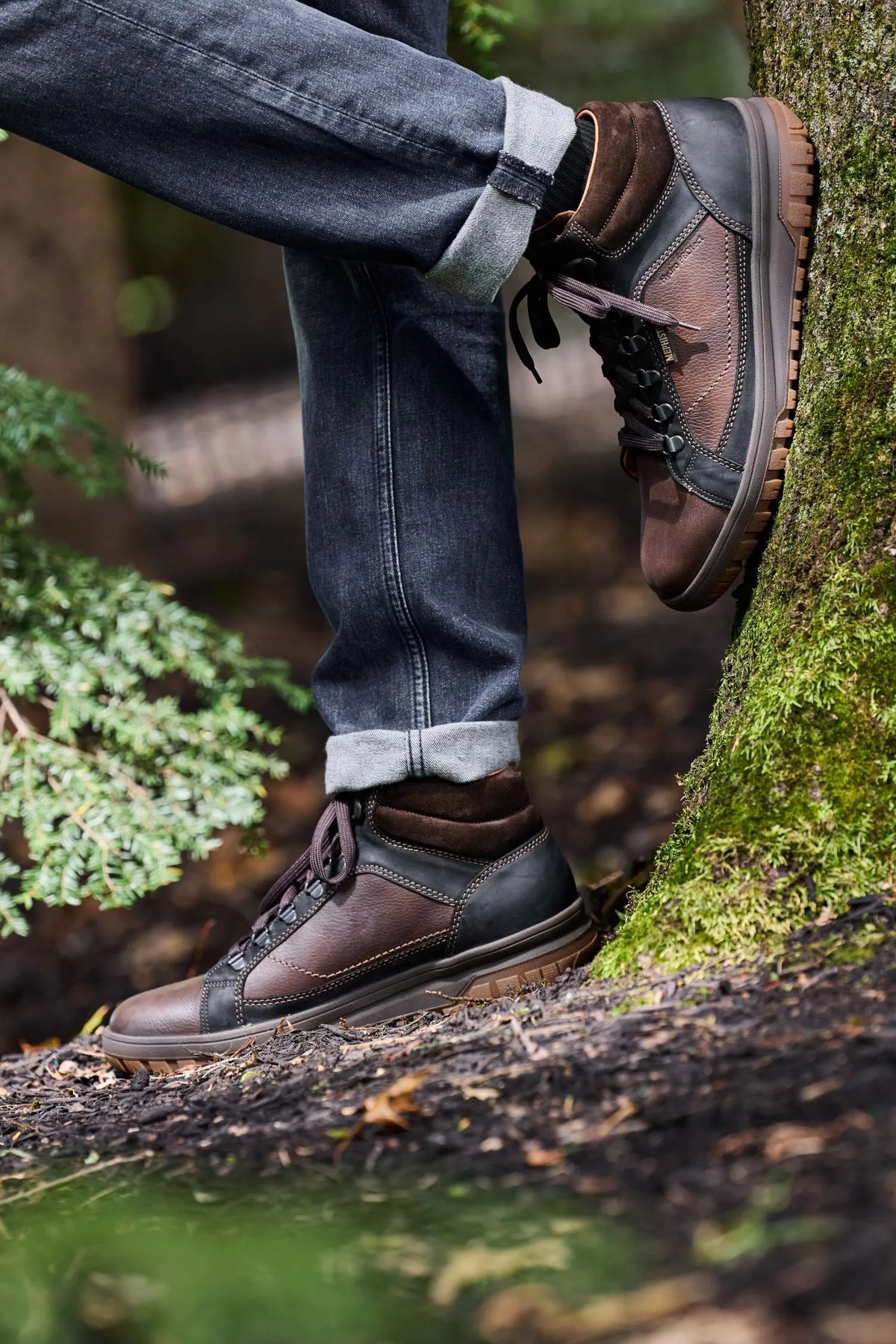 Pitt - Dark Brown