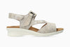 Light Taupe