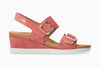 Old Pink
