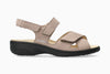 Light Taupe