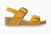 Ochre